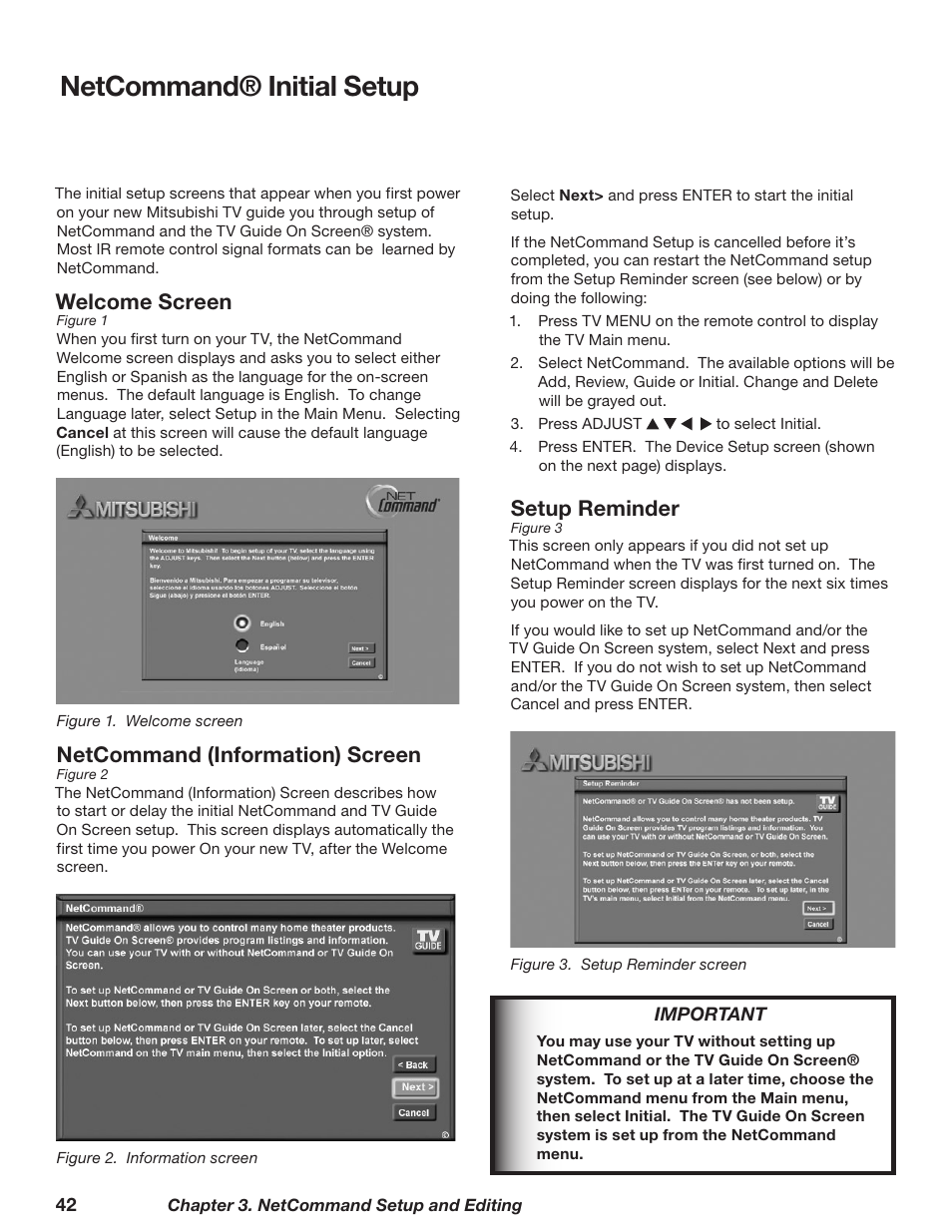 Netcommand® initial setup, Welcome screen, Netcommand (information) screen | Setup reminder | MITSUBISHI ELECTRIC WD-62628 User Manual | Page 42 / 124