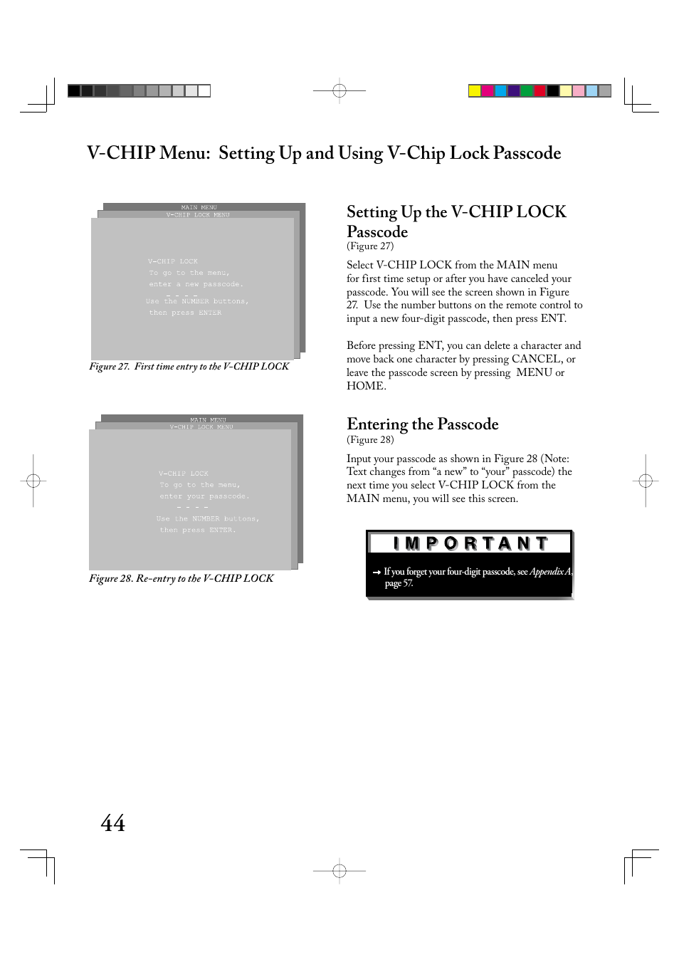 Setting up the v-chip lock passcode, Entering the passcode | MITSUBISHI ELECTRIC LT-2220 User Manual | Page 44 / 68