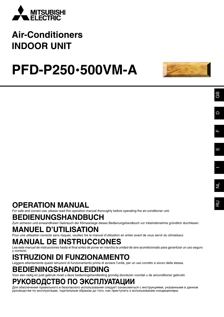 MITSUBISHI ELECTRIC PFD-P250 • 500VM-A User Manual | 14 pages