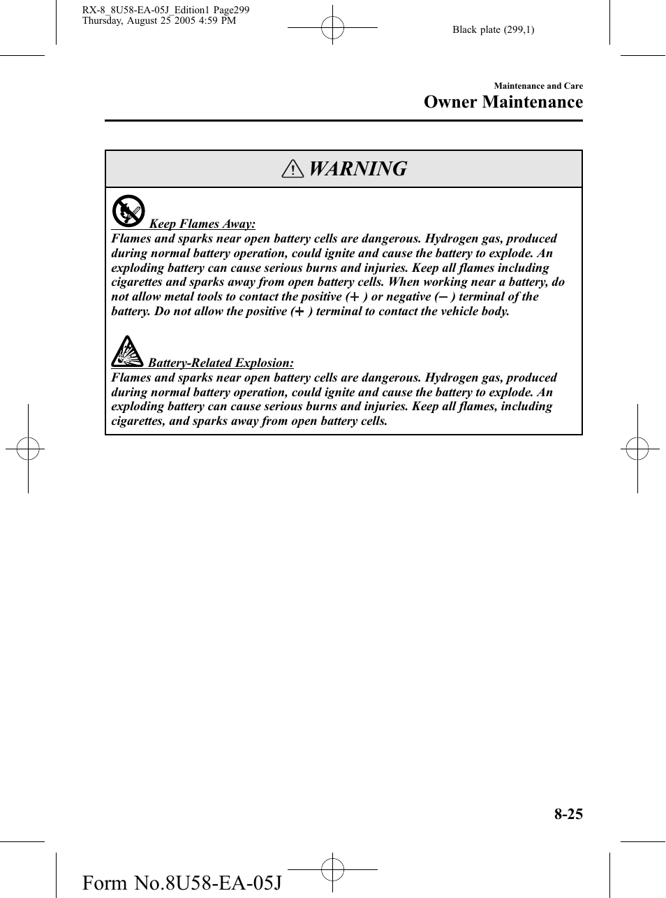 Warning, Owner maintenance | Mazda 2006 RX-8 User Manual | Page 299 / 434