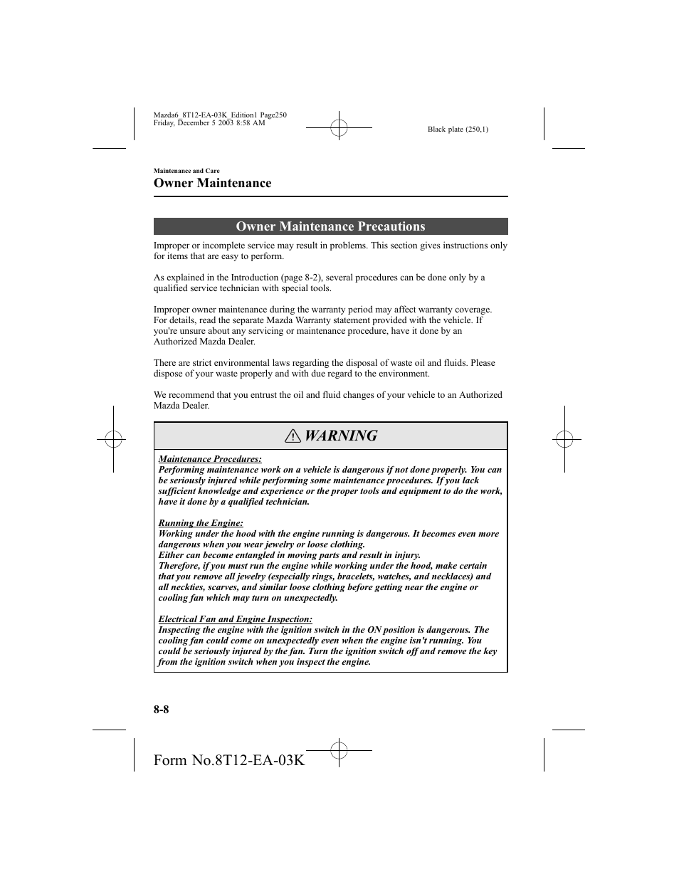 Warning, Owner maintenance precautions, Owner maintenance | Mazda 8T12-EA-03K User Manual | Page 250 / 326