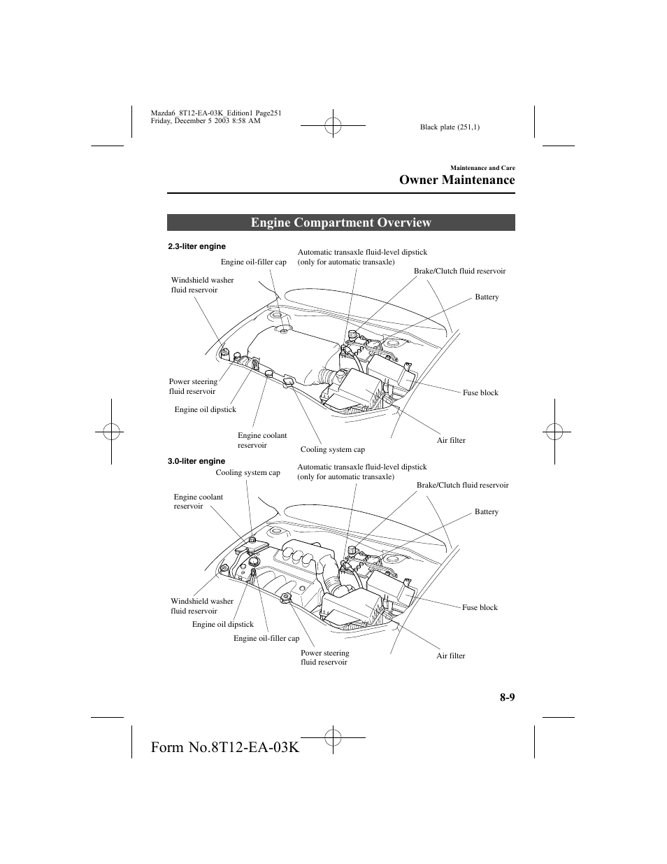 Engine compartment overview, Owner maintenance | Mazda 8T12-EA-03K User Manual | Page 251 / 326