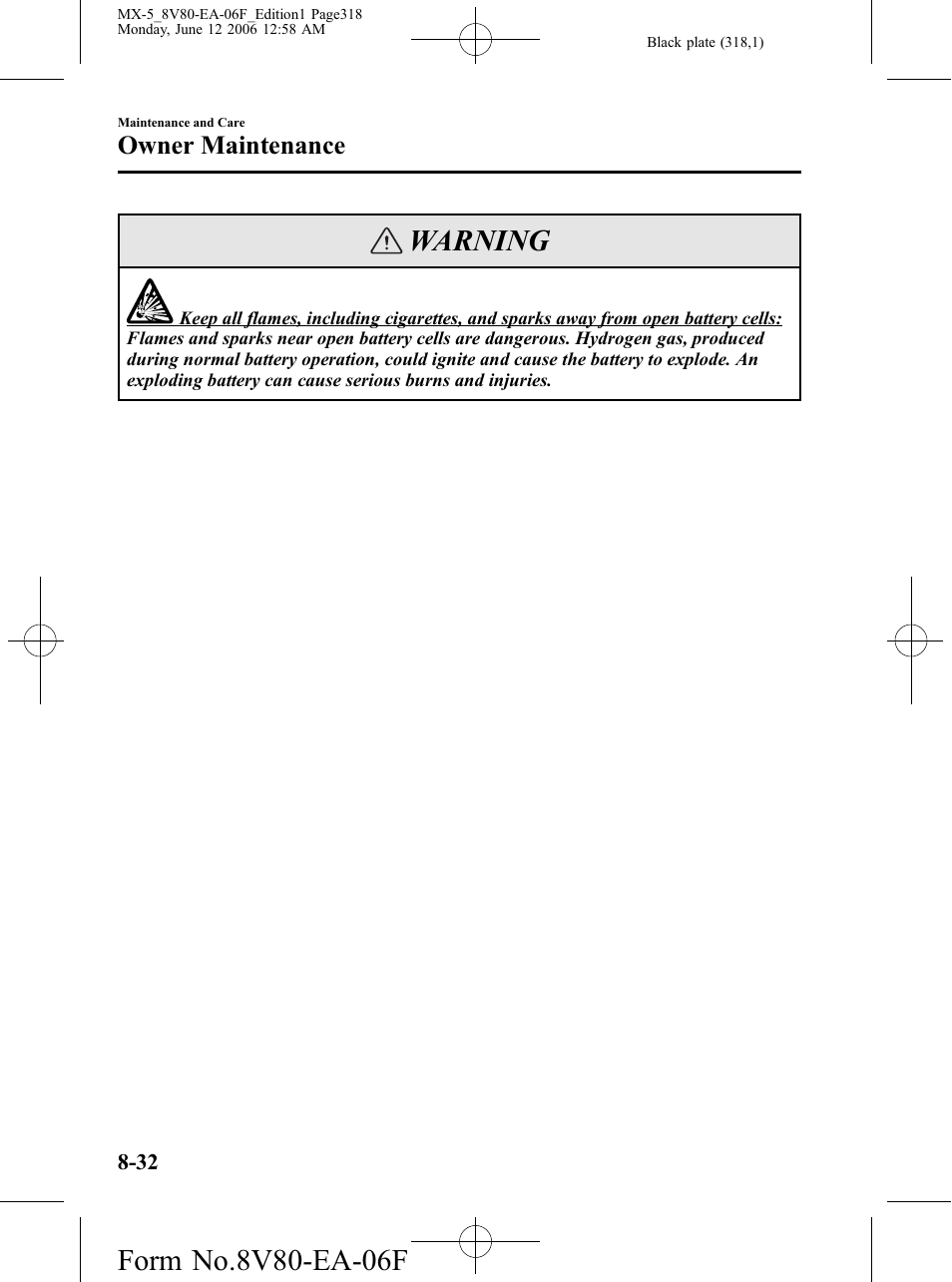 Warning, Owner maintenance | Mazda MX-5 User Manual | Page 319 / 407