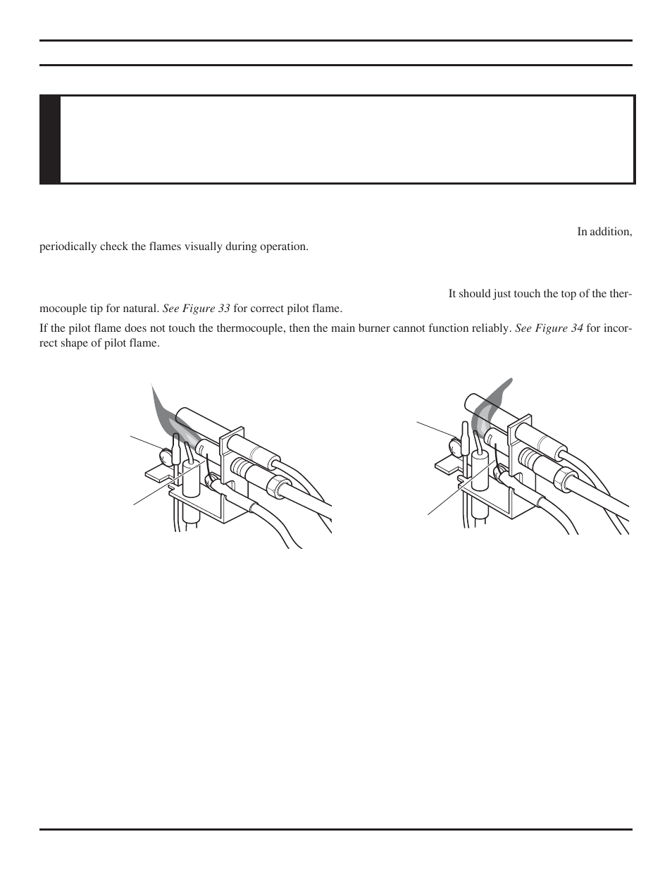 Flame appearance, Caution | Monessen Hearth TPB24 User Manual | Page 29 / 42