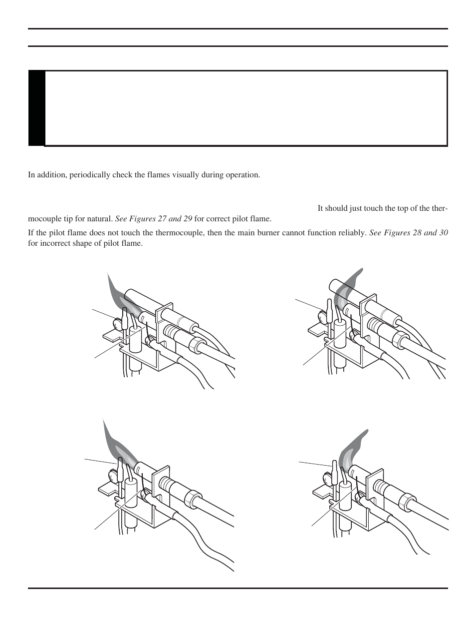 Caution flame appearance | Monessen Hearth DEB20 User Manual | Page 27 / 40