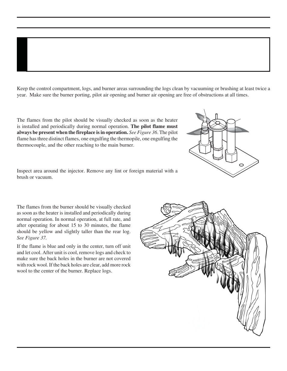 Warning, Cleaning and maintenance | Monessen Hearth Direct Vent BLDV400 User Manual | Page 34 / 46