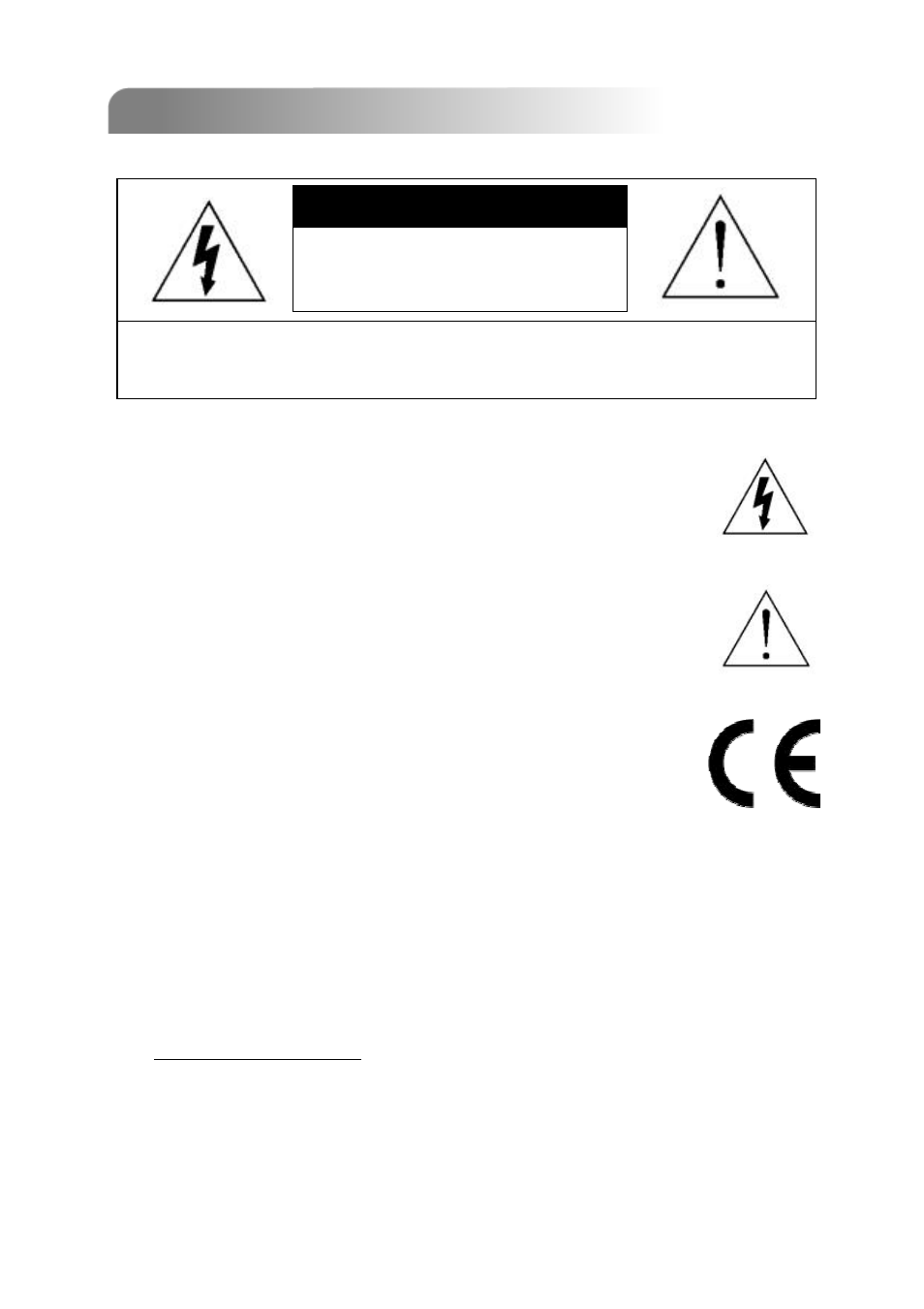 Important safeguard | Multiplex Technology 8CH User Manual | Page 2 / 60
