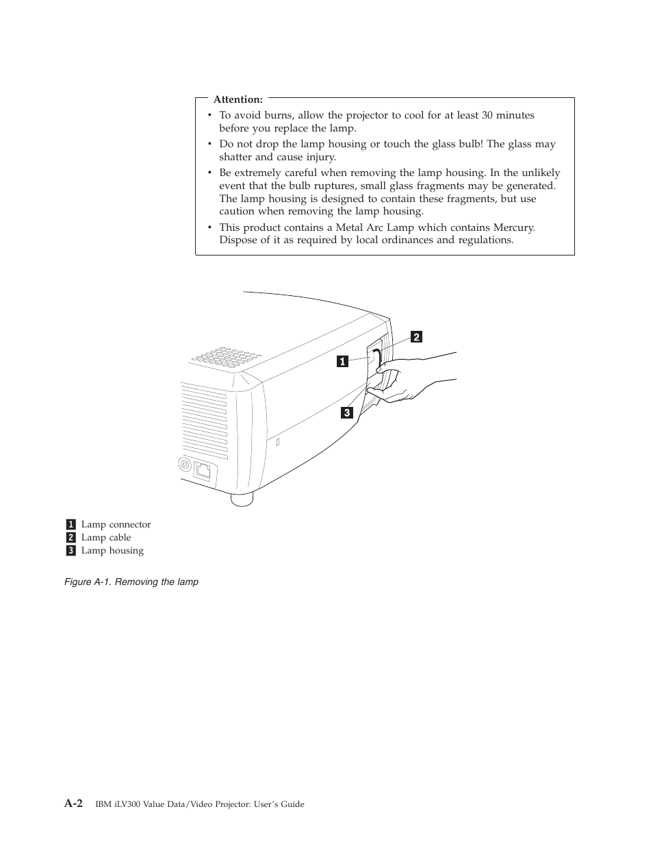 IBM Partner Pavilion iLV300 User Manual | Page 44 / 74