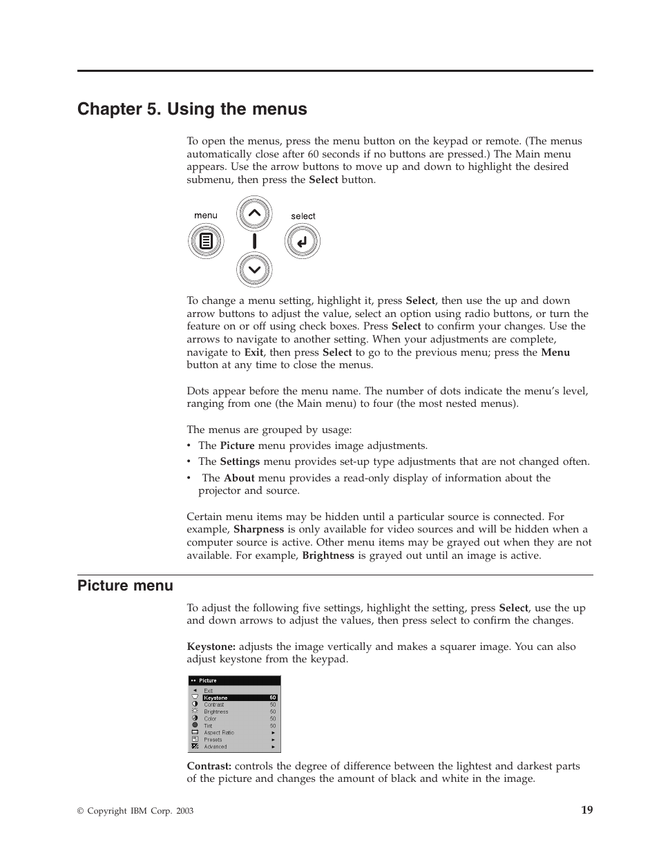 Chapter 5. using the menus, Picture menu | IBM Partner Pavilion iLC300 User Manual | Page 29 / 62