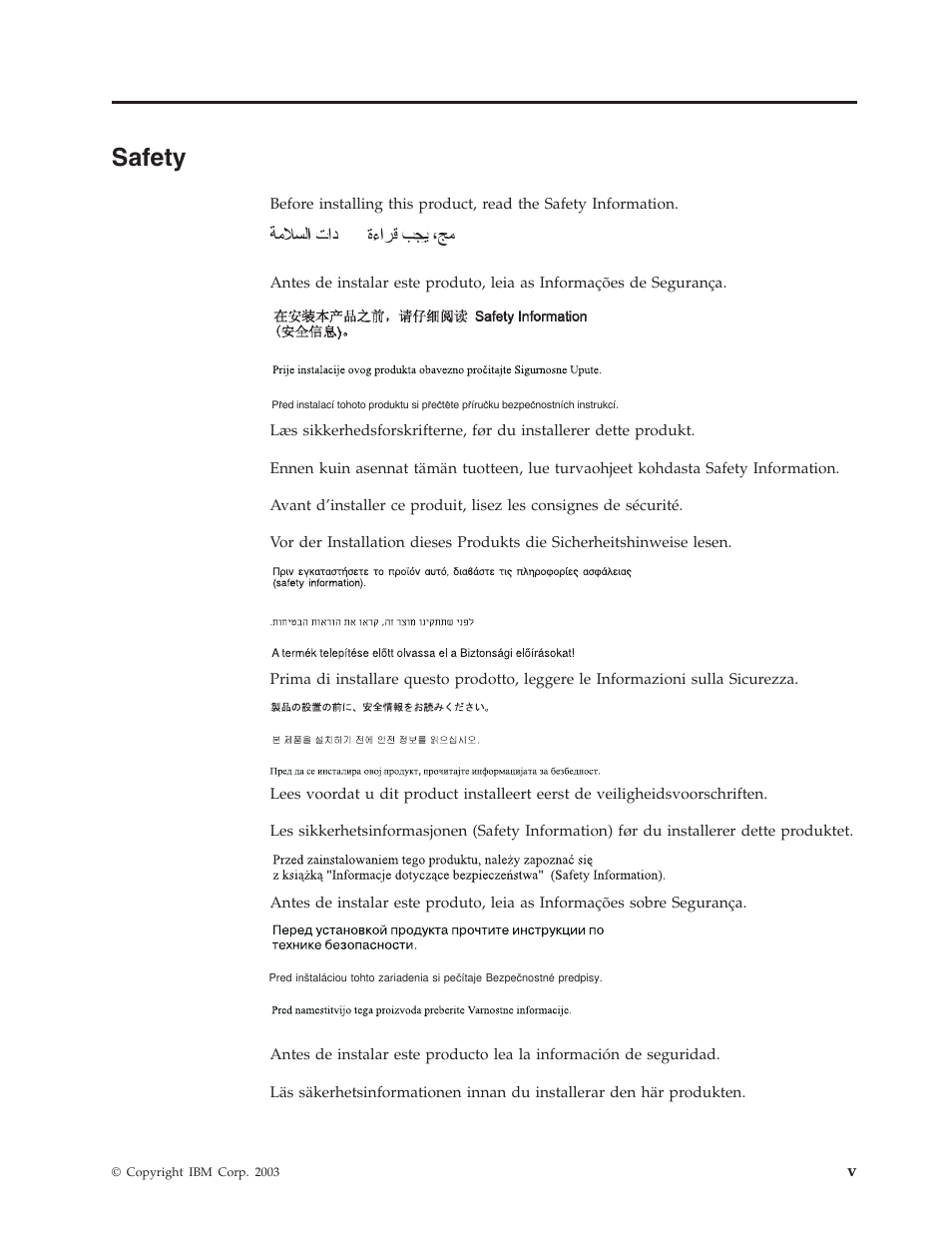 Safety | IBM Partner Pavilion iLC300 User Manual | Page 7 / 62