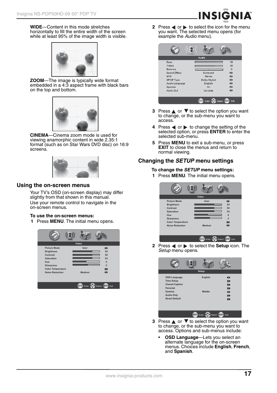 Using the on-screen menus, Changing the setup menu settings, Audio | Setup, Opens (for example the | Insignia NS-PDP50HD-09 User Manual | Page 17 / 92
