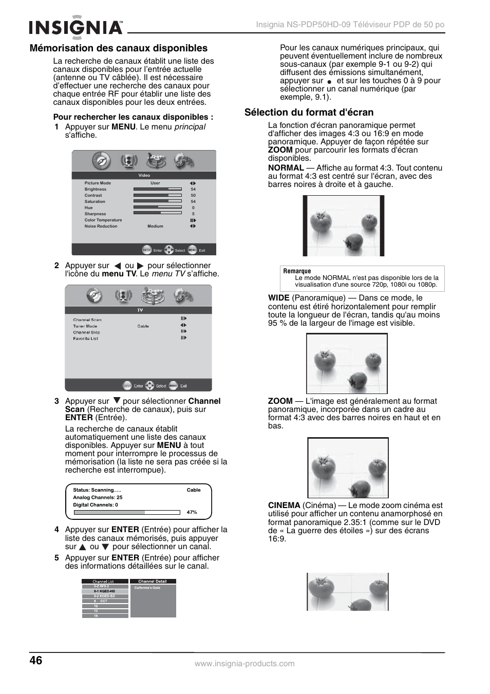 Mémorisation des canaux disponibles, Sélection du format d'écran, Principal | Menu tv | Insignia NS-PDP50HD-09 User Manual | Page 46 / 92