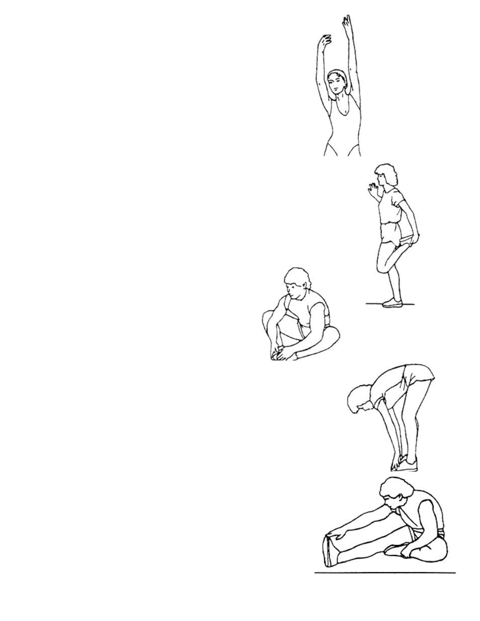 Side stretches, Quadriceps stretch, Inner thigh stretch | Toe touches, Hamstring stretches | Impex WMGG-20 User Manual | Page 12 / 14