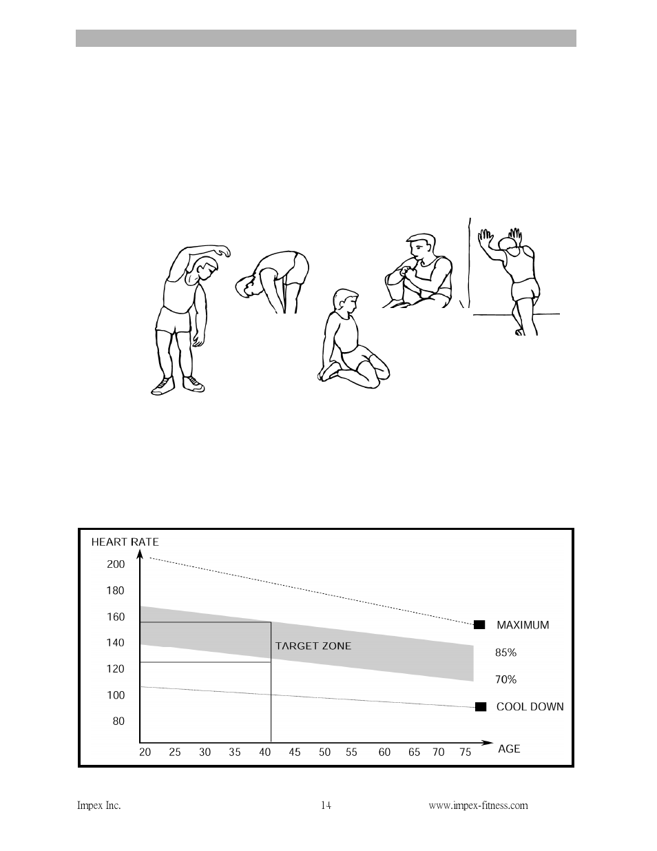 Exercise instructions | Impex NS-652 User Manual | Page 15 / 17