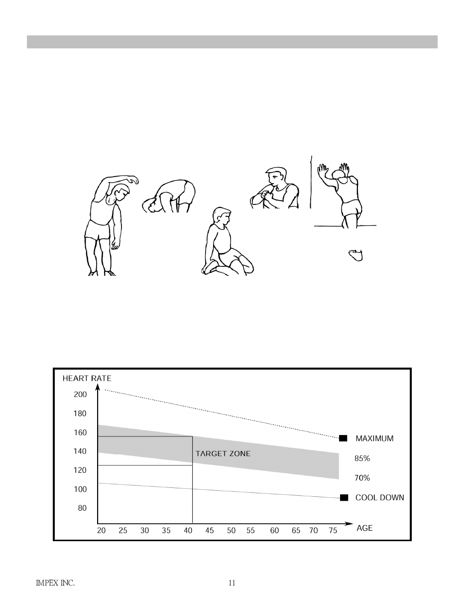 Exercise guidelines | Impex H2502C User Manual | Page 12 / 15