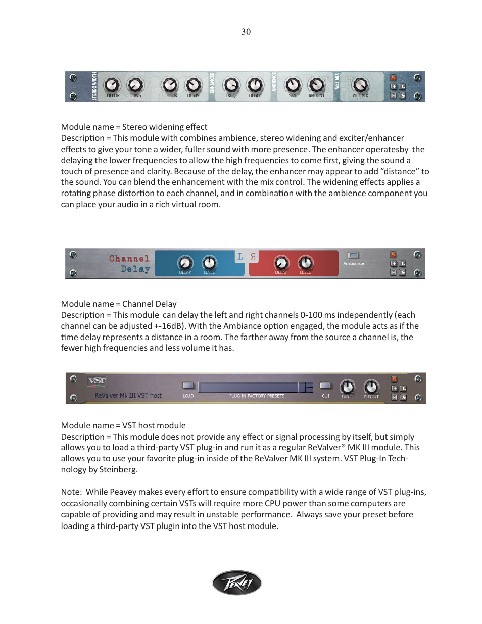 Intel Peavey ReValver MK III User Manual | Page 31 / 45