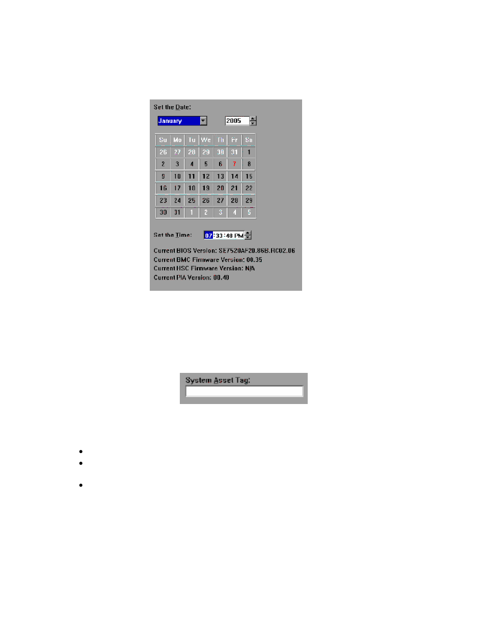 Bios date and time, Setting a system asset tag, System asset tag | Intel SE7320 User Manual | Page 12 / 30