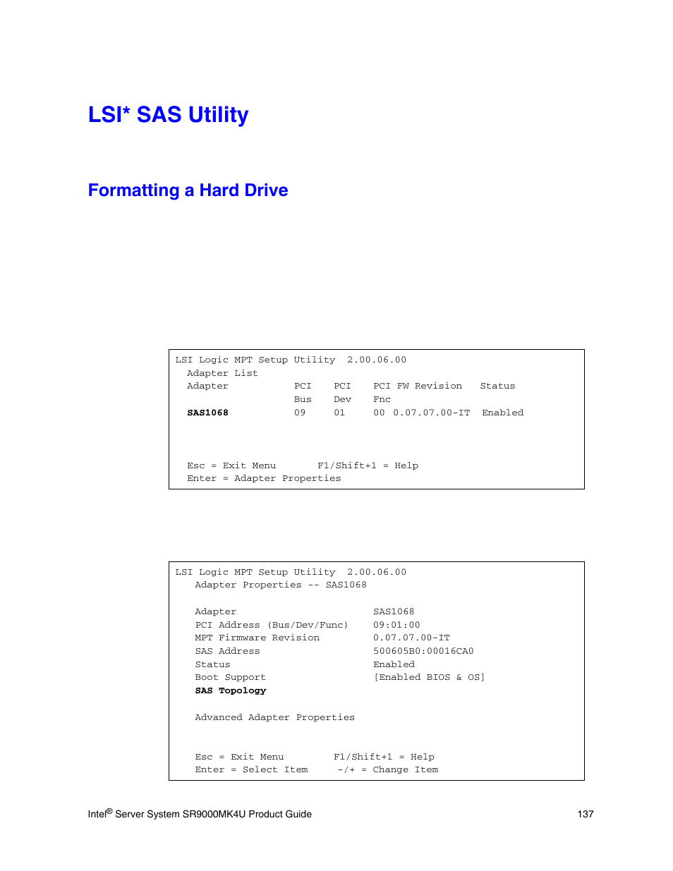 Lsi* sas utility, Formatting a hard drive | Intel SR9000MK4U User Manual | Page 159 / 258