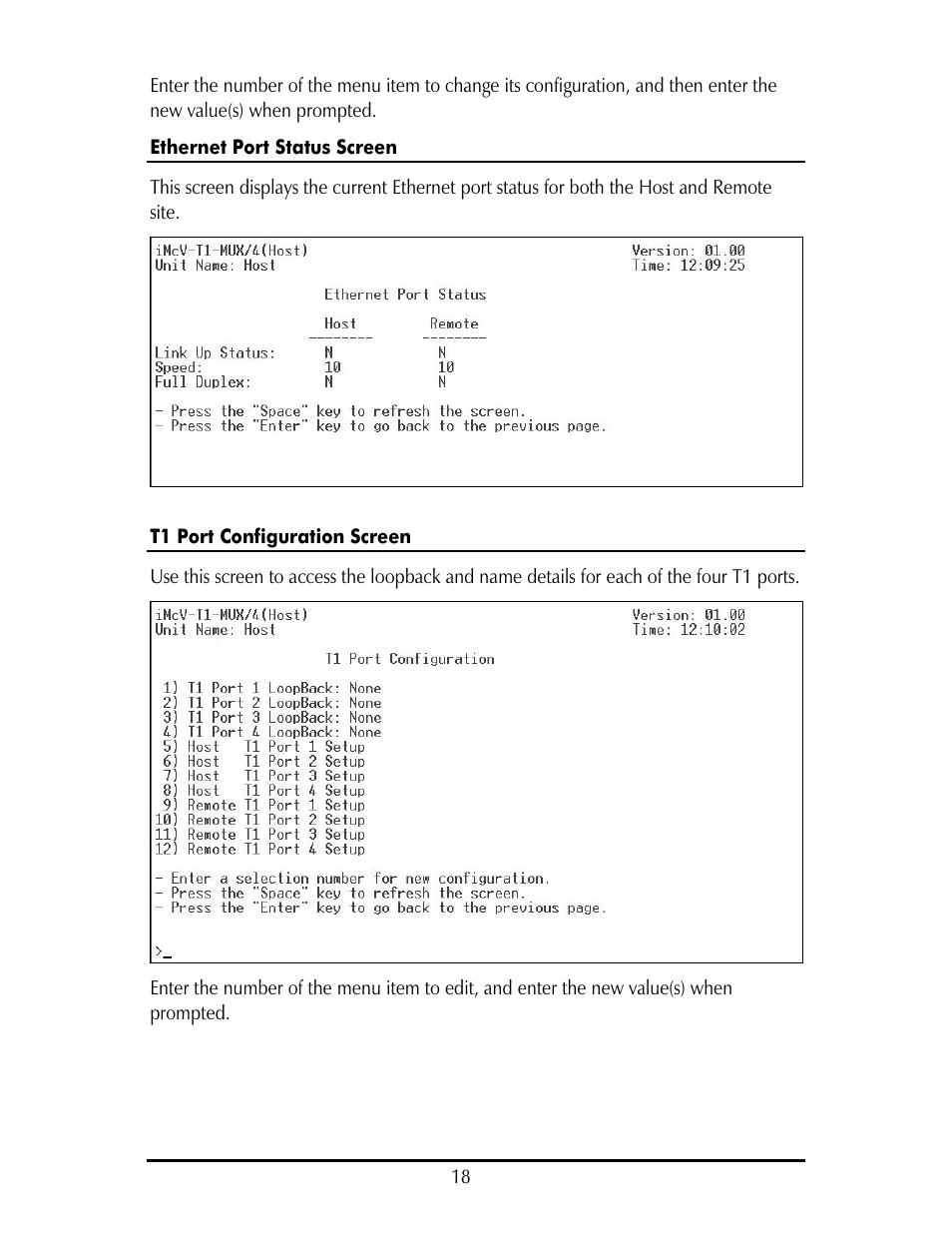IMC Networks IE-IMCV-T1-MUX/4 User Manual | Page 22 / 36