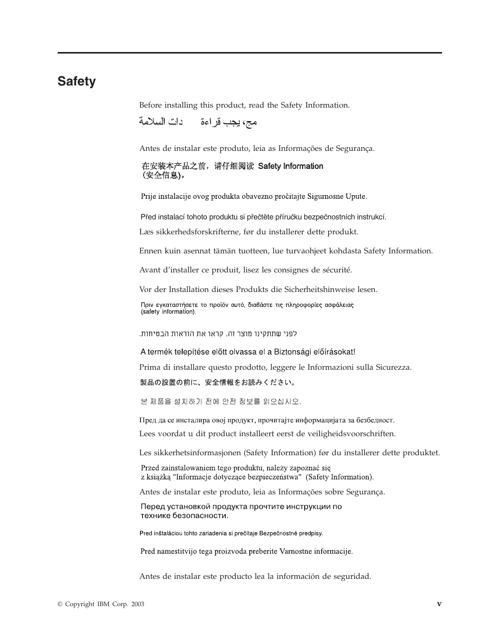 Safety | IBM 22P9176 User Manual | Page 7 / 76