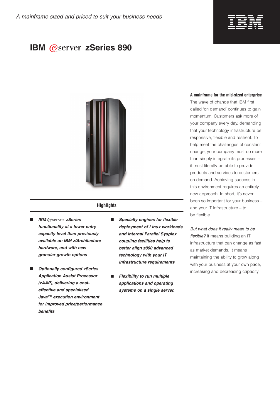 IBM ZSERIES 890 User Manual | 12 pages