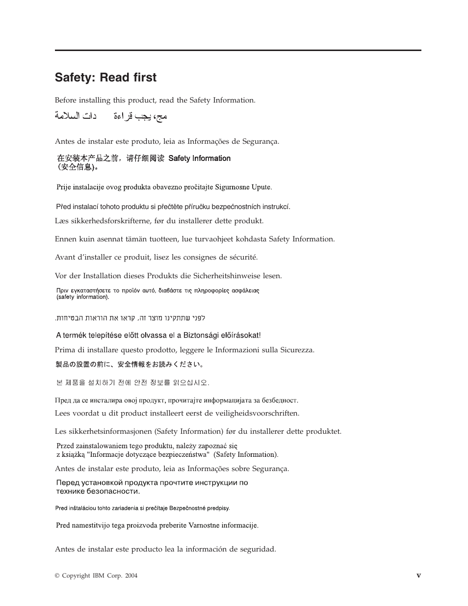 Safety: read first, Safety, Read | First | IBM 73P3309 User Manual | Page 7 / 64