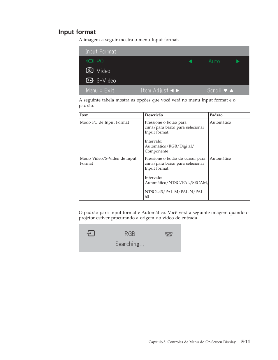 Input format, Input, Format | IBM M400 User Manual | Page 43 / 84