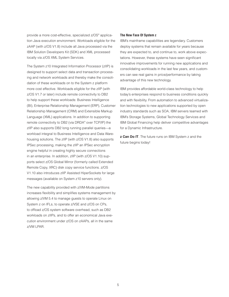 IBM Z10 BUISNESS CLASS Z10 BC User Manual | Page 5 / 67