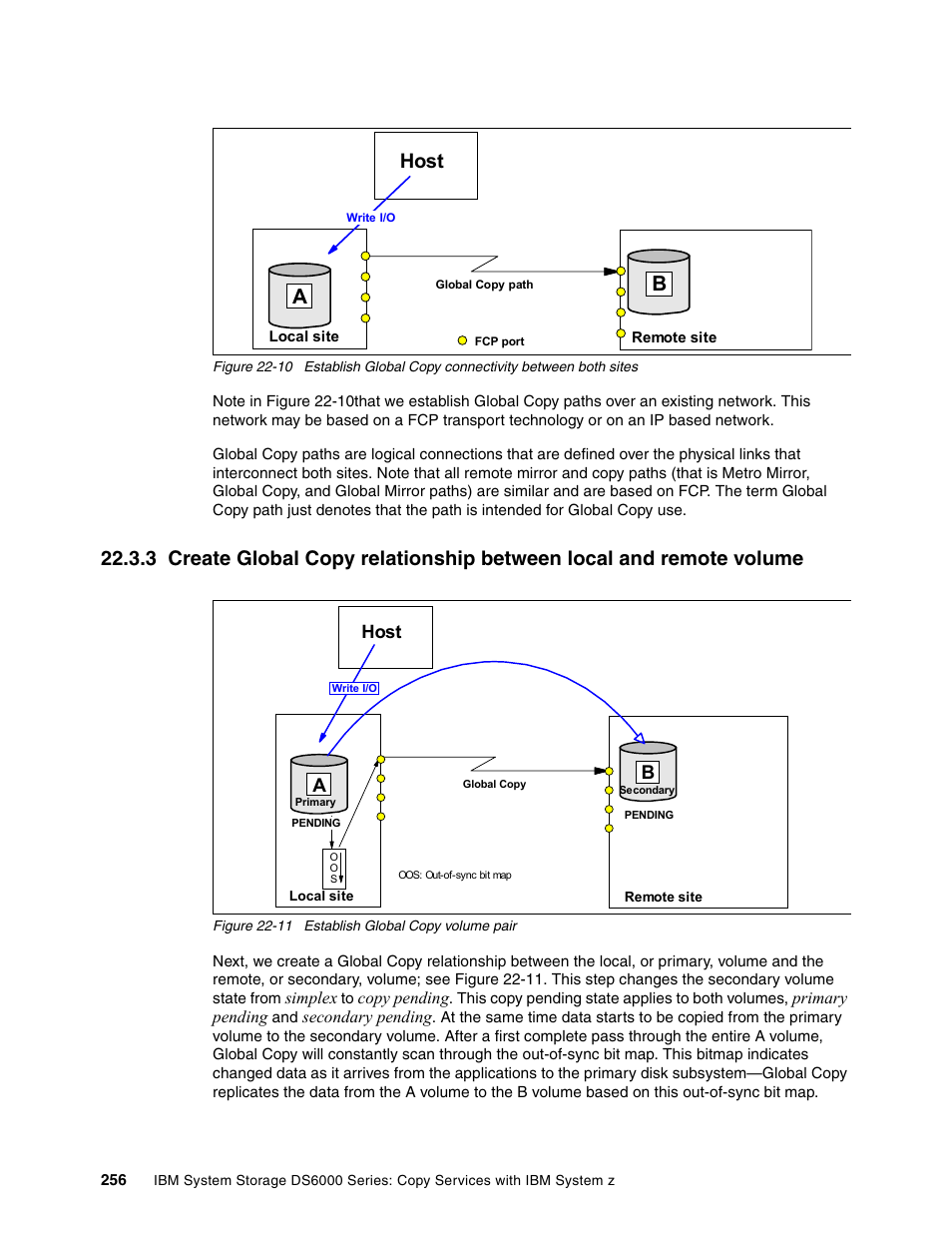 Ahost, Host | IBM DS6000 User Manual | Page 280 / 578