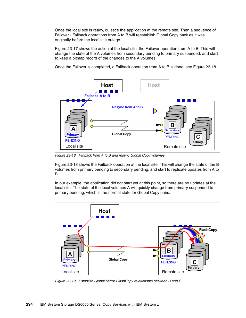 Host | IBM DS6000 User Manual | Page 318 / 578