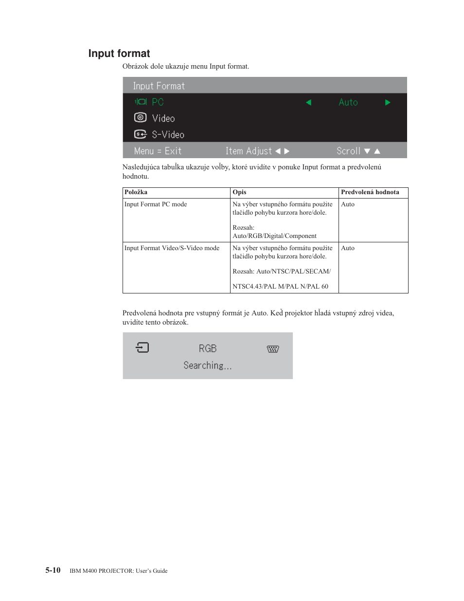 Input format, Input, Format | IBM M400 User Manual | Page 42 / 82