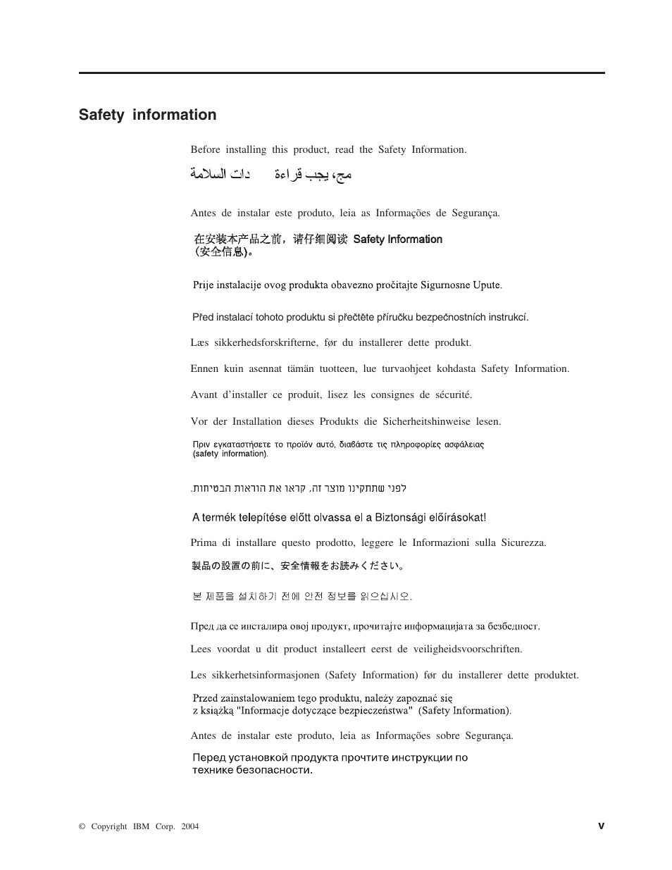 Safety information . . . . . . . . . . v, Safety information | IBM ThinkPad 73P3292 User Manual | Page 7 / 52