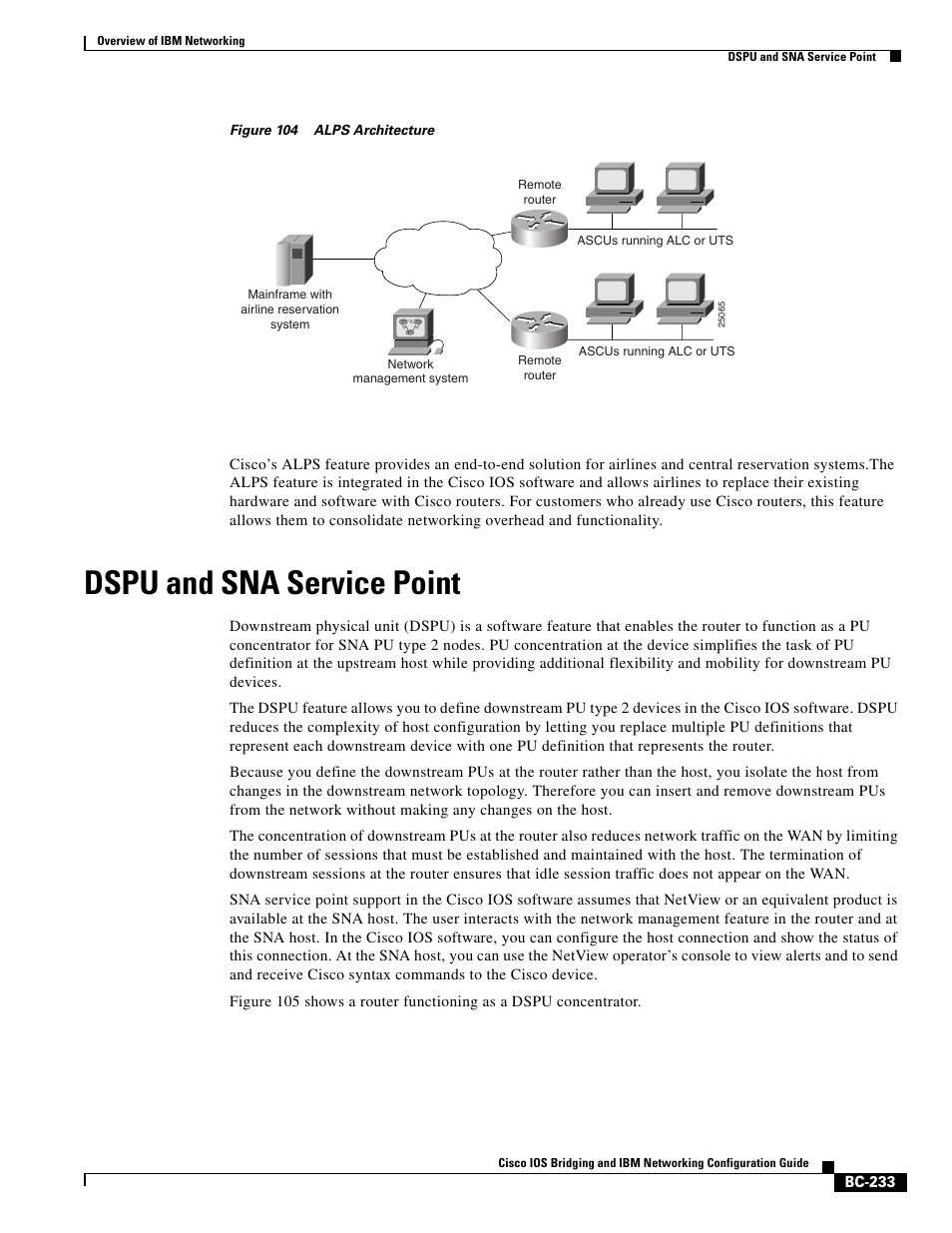 Dspu and sna service point | IBM BC-203 User Manual | Page 31 / 52