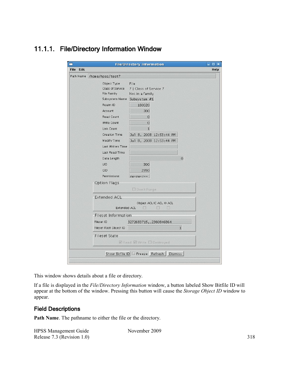 File/directory information window | IBM RELEASE 7.3 User Manual | Page 318 / 388