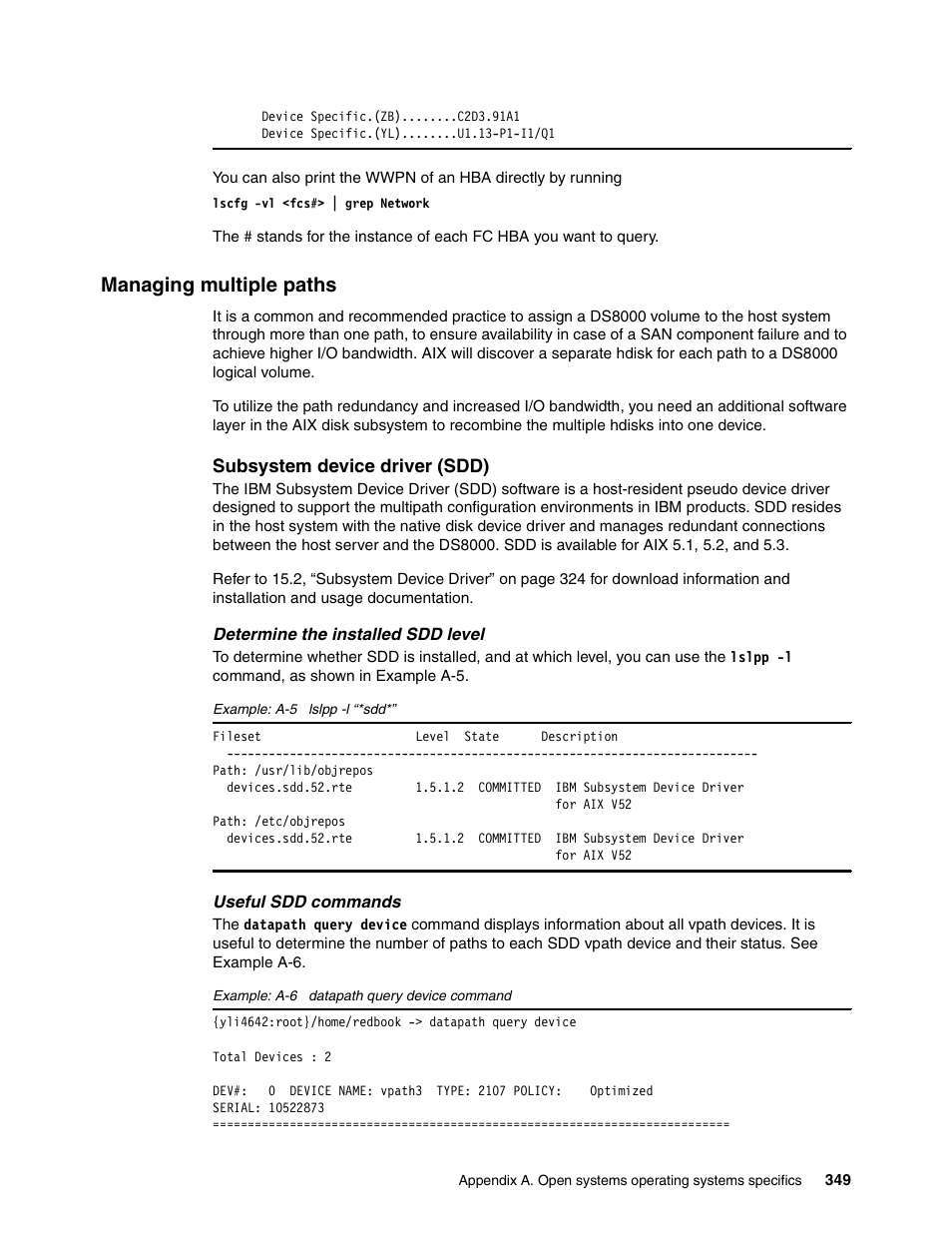 Managing multiple paths | IBM DS8000 User Manual | Page 371 / 450