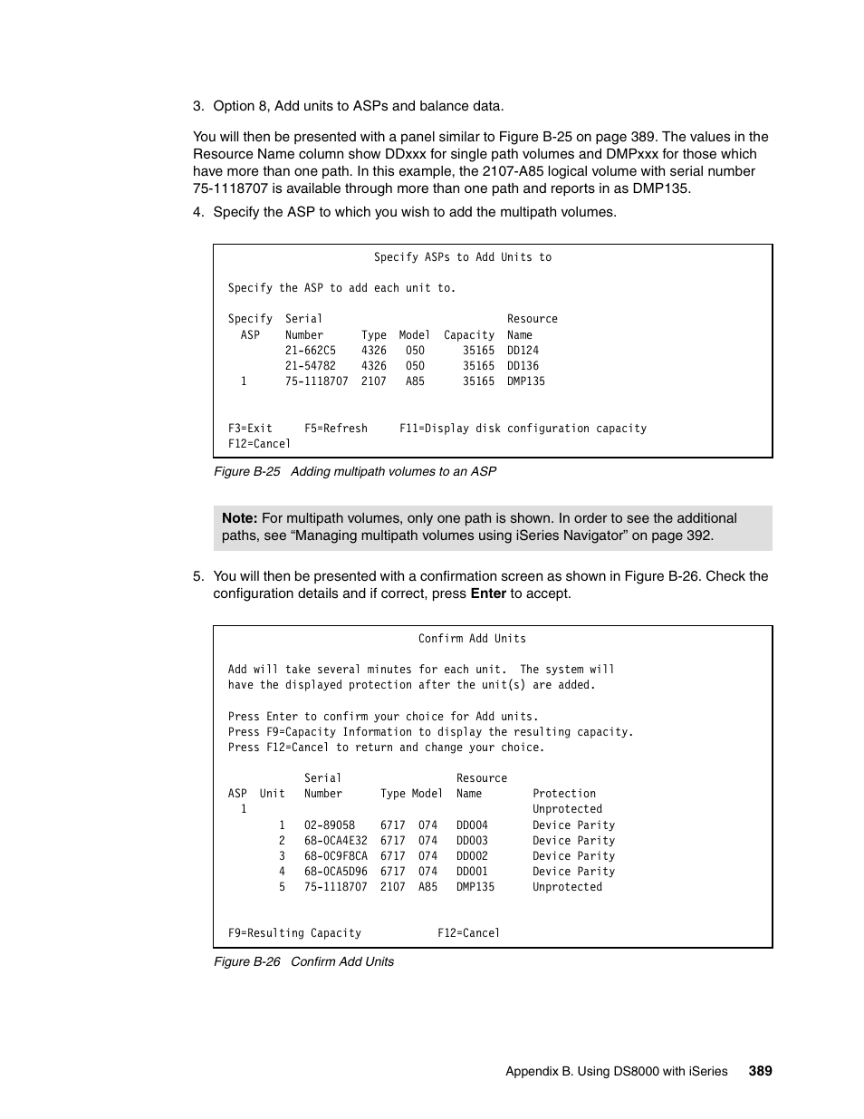 IBM DS8000 User Manual | Page 411 / 450