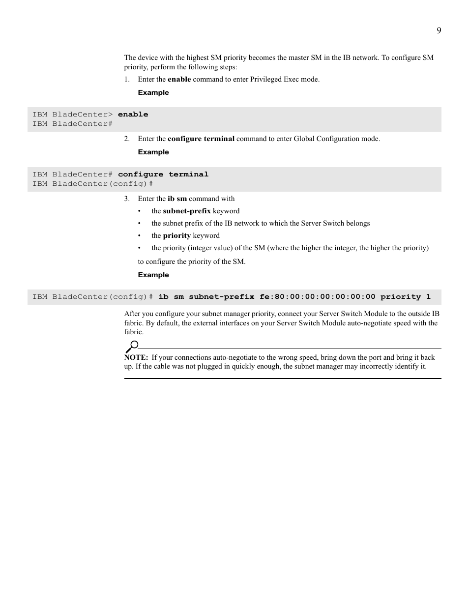 IBM 24R9718 IB User Manual | Page 53 / 59