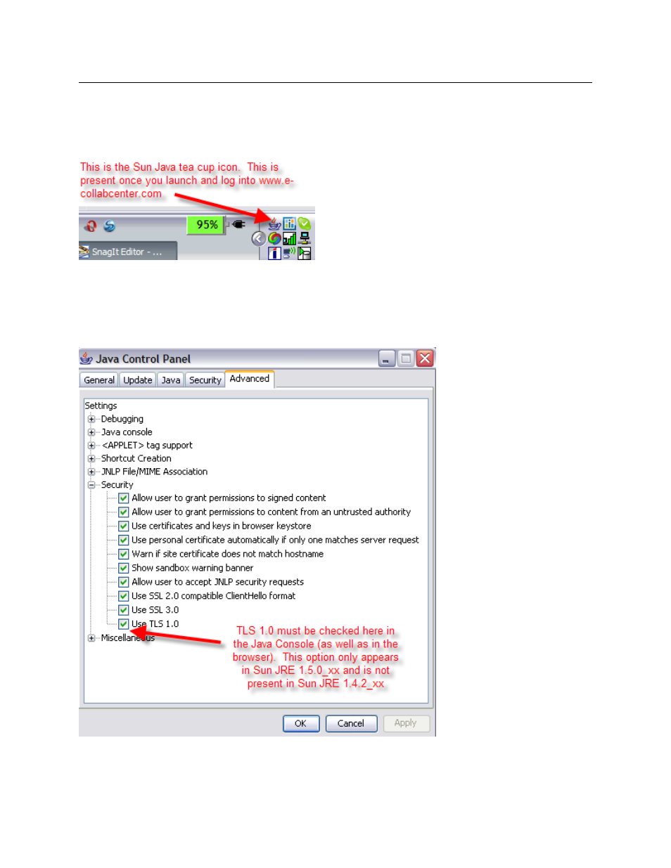 1 enable tls 1.0 in java jre 1.5.0 and later, Enable tls 1.0 in java jre 1.5.0 and later | IBM DISA e-collaboration User Manual | Page 13 / 51