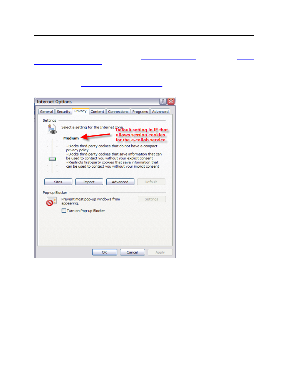 1 cookies | IBM DISA e-collaboration User Manual | Page 15 / 51