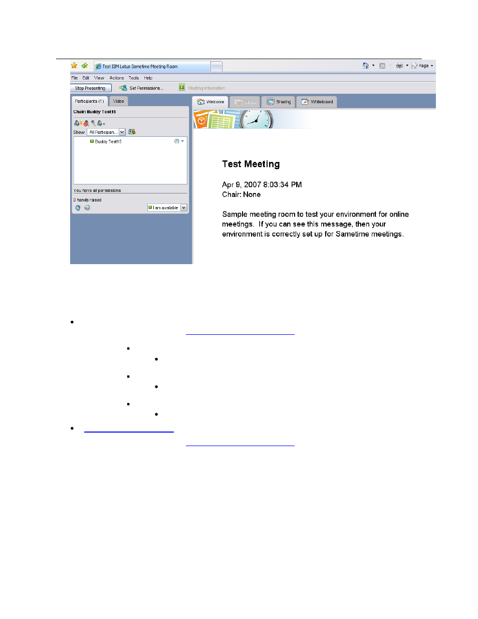 IBM DISA e-collaboration User Manual | Page 31 / 51