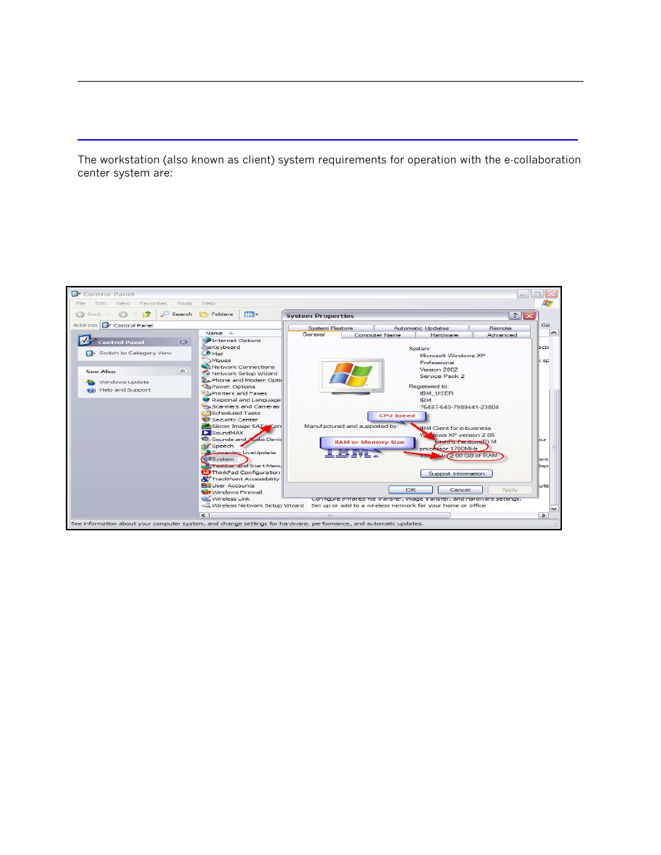 Workstation hardware requirements | IBM DISA e-collaboration User Manual | Page 6 / 51