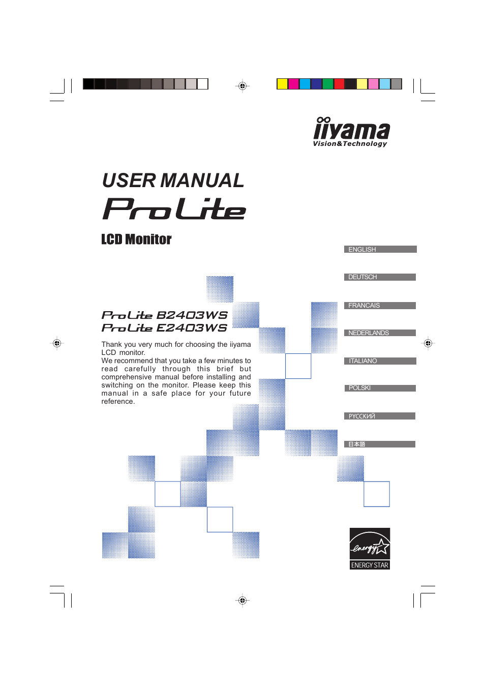 Iiyama PROLITE B2403WS User Manual | 30 pages