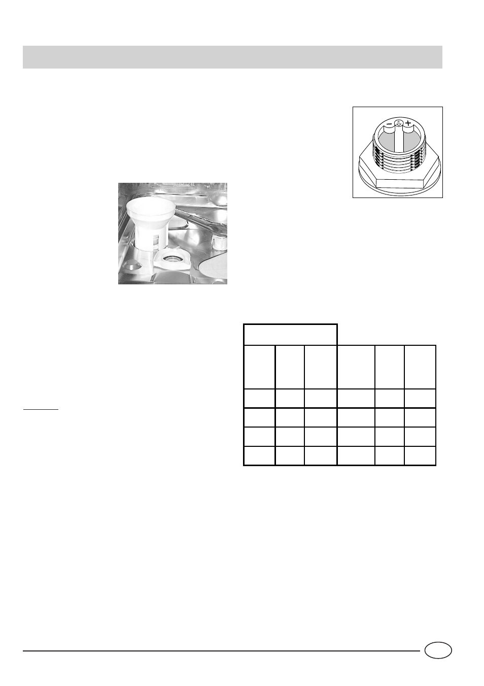 Salt | Indesit IDE 1000 User Manual | Page 5 / 16