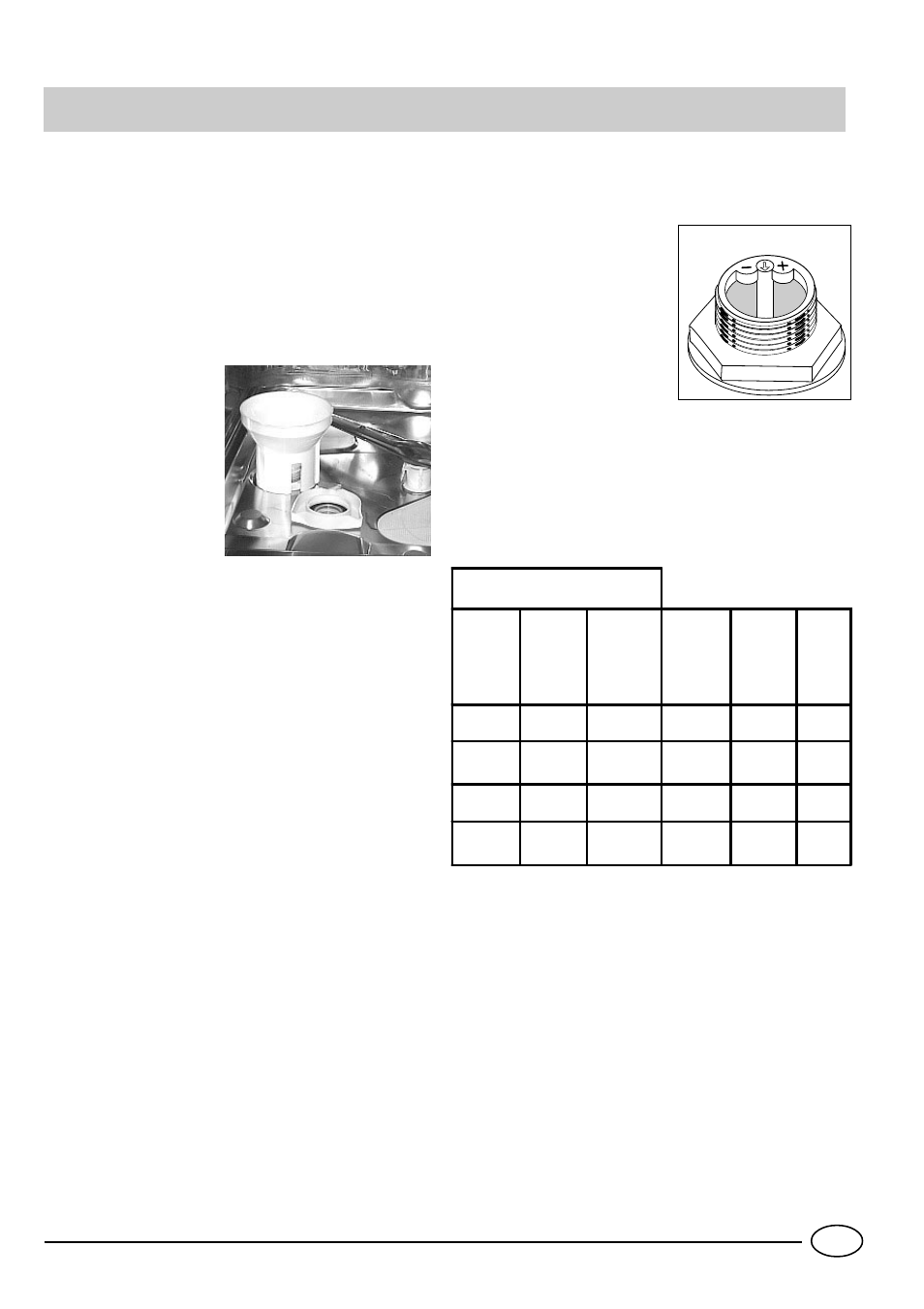 Salt | Indesit DG 6145 User Manual | Page 5 / 16