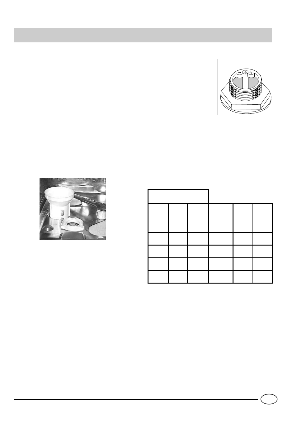 Salt | Indesit D 66 User Manual | Page 5 / 16