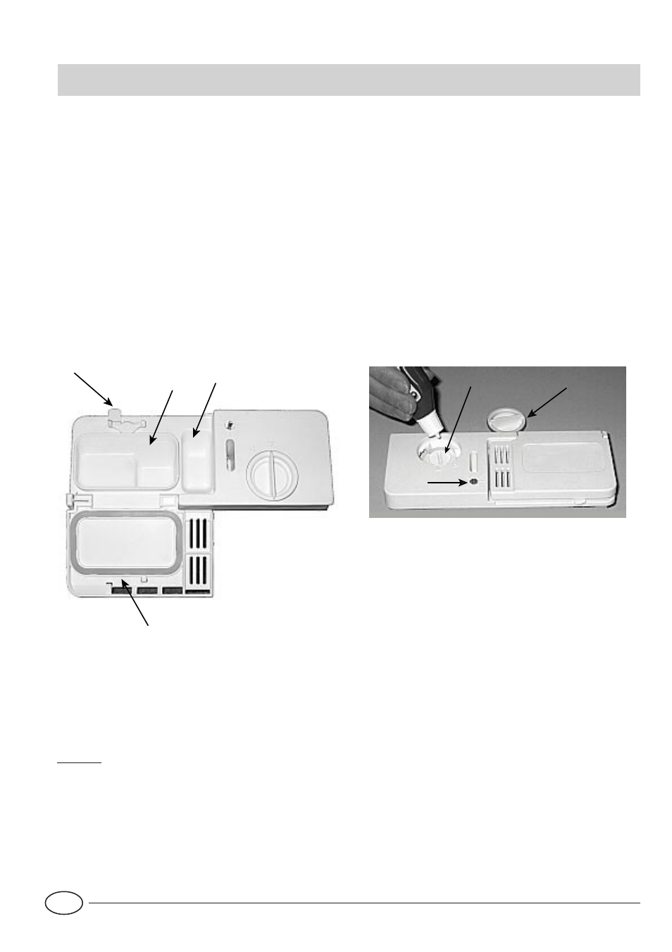 Detergent and rinse aid | Indesit DI 450 User Manual | Page 6 / 16