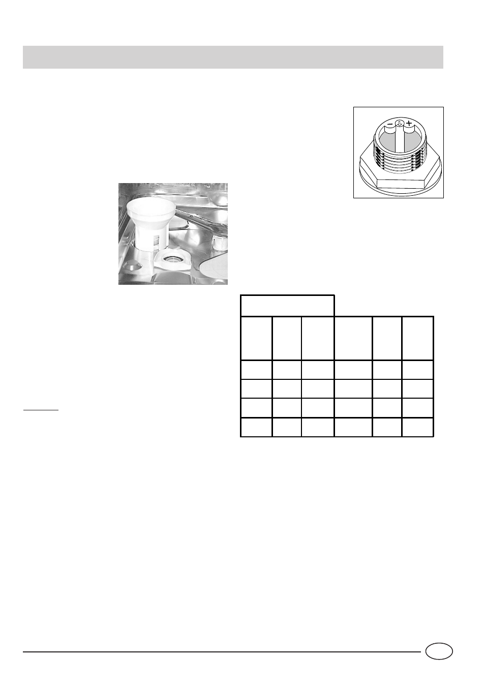Salt | Indesit IDL 730 User Manual | Page 5 / 16