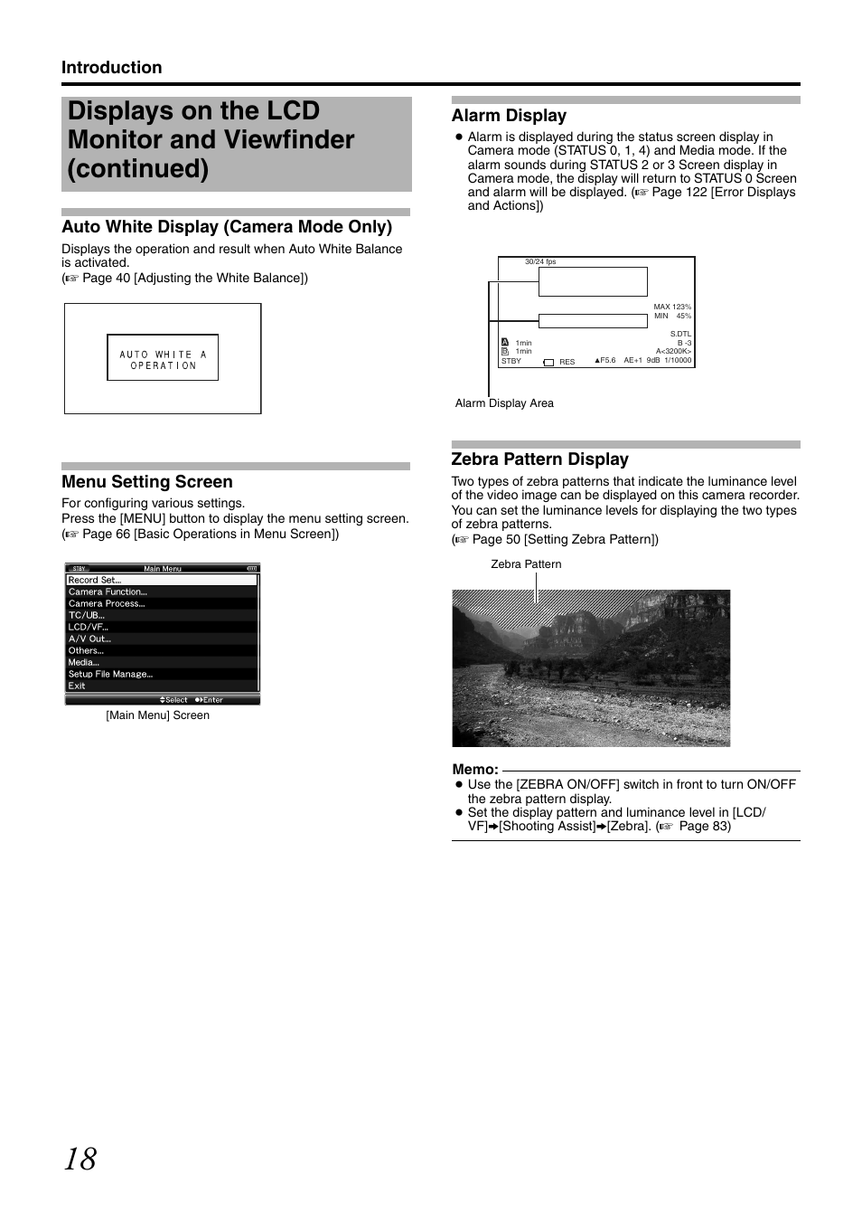 Auto white display (camera mode only), Menu setting screen, Alarm display | Zebra pattern display, Introduction auto white display (camera mode only) | JVC GY-HM700CHE User Manual | Page 22 / 132