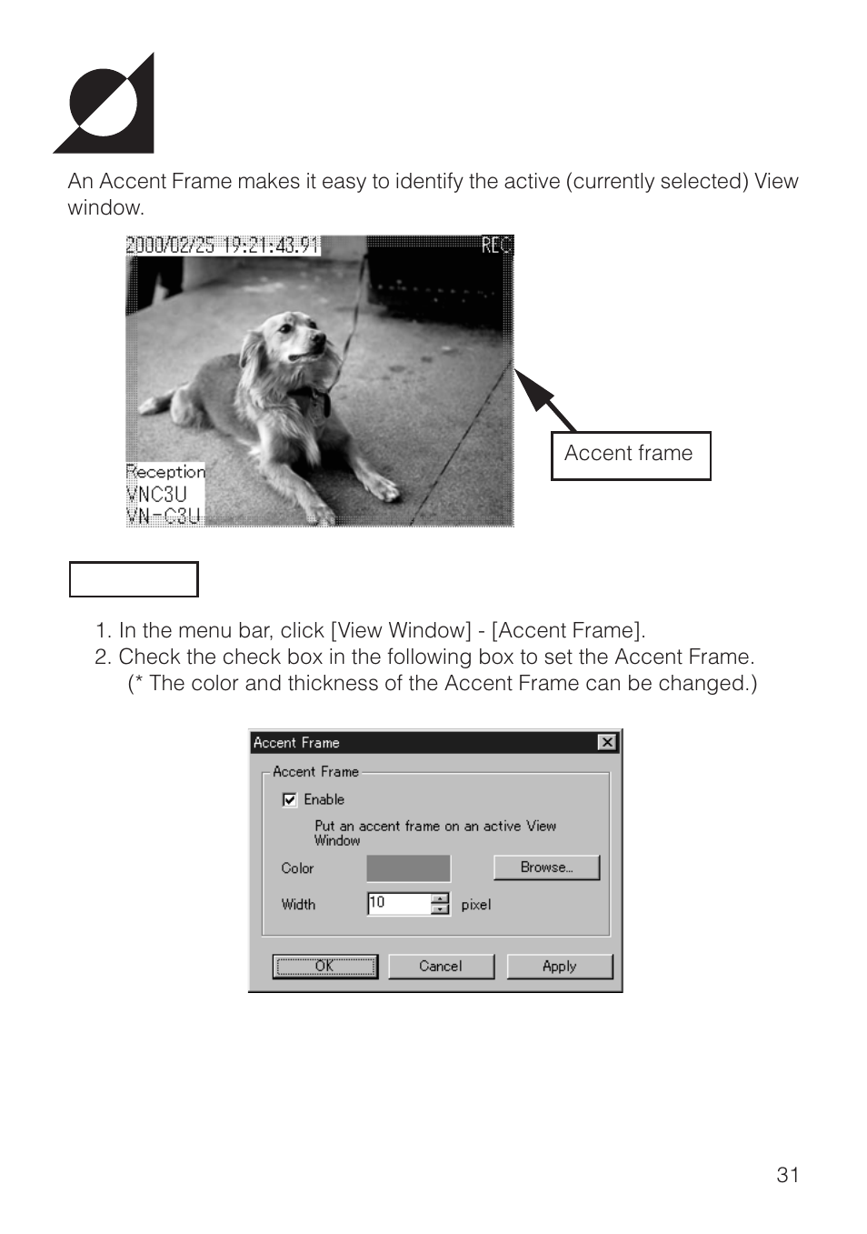 Setting accent frame of view window | JVC VN-S200U/S100U User Manual | Page 31 / 44