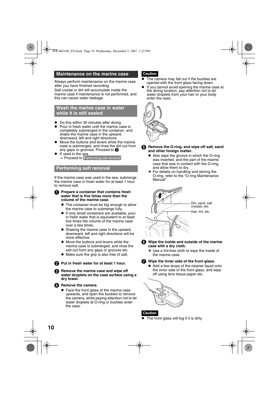 Maintenance on the marine case, Performing salt removal, A pg. 10) | Aerforming salt removal | JVC Marine Case WR-MG100 User Manual | Page 10 / 103